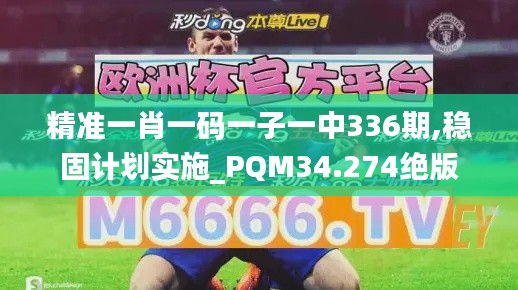 精准一肖一码一子一中336期,稳固计划实施_PQM34.274绝版