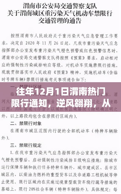 往年12月渭南限行通知，逆风翱翔，自我成长的力量之路