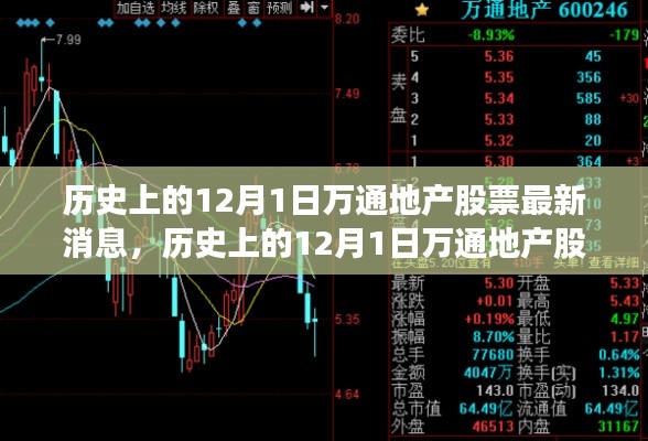 历史上的12月1日万通地产股票最新消息，全面指南掌握股票信息步骤解析