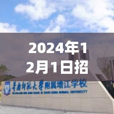 揭秘科技革新未来，揭秘2024年招聘热门之选的高科技产品体验之旅，智能之选触手可及！