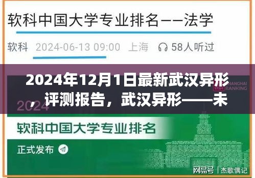 武汉异形，未来科技展现与评测报告，2024年最新评测揭秘