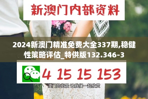 2024新澳门精准免费大全337期,稳健性策略评估_特供版132.346-3