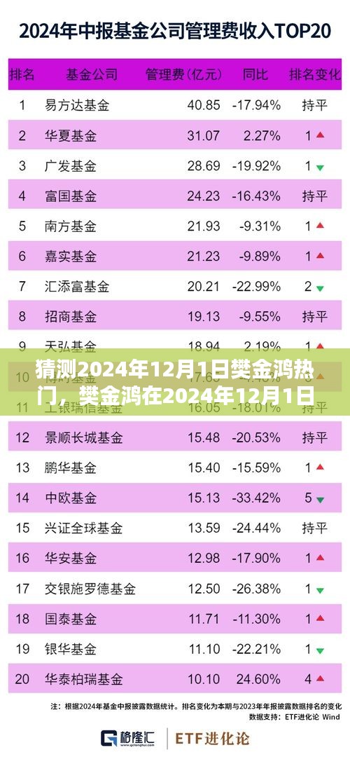 樊金鸿在2024年12月1日的热门预测，未来展望与探讨