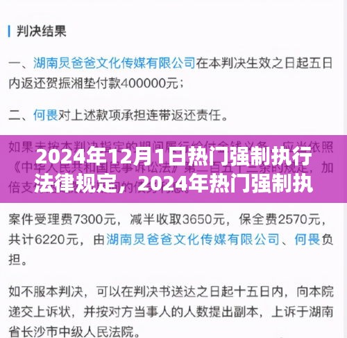 2024年强制执行法律规定的深度分析与影响探讨