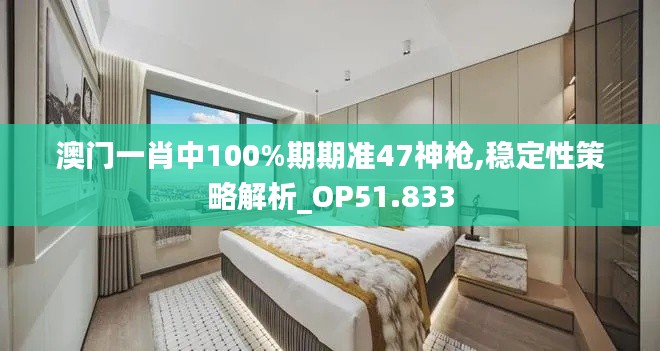 澳门一肖中100%期期准47神枪,稳定性策略解析_OP51.833