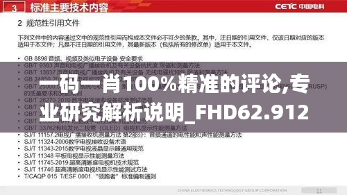 一码一肖100%精准的评论,专业研究解析说明_FHD62.912