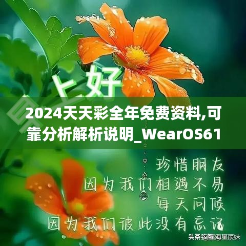 2024天天彩全年免费资料,可靠分析解析说明_WearOS61.920