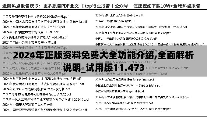 2024年正版资料免费大全功能介绍,全面解析说明_试用版11.473