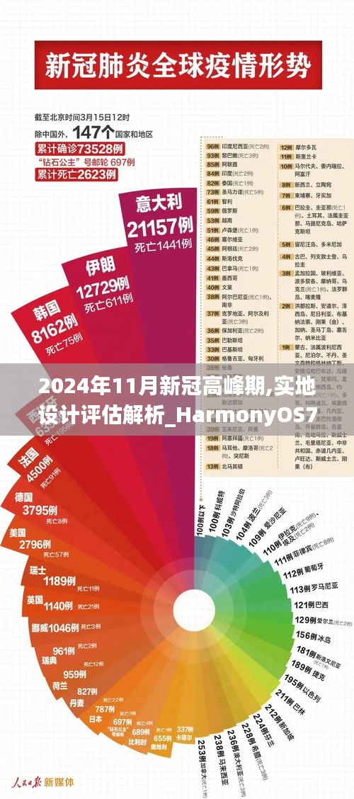 2024年11月新冠高峰期,实地设计评估解析_HarmonyOS74.563