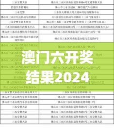 澳门六开奖结果2024开奖记录查询表,实地验证策略方案_精英款69.146