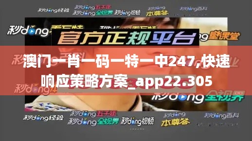 澳门一肖一码一特一中247,快速响应策略方案_app22.305