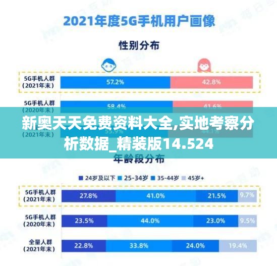 新奥天天免费资料大全,实地考察分析数据_精装版14.524