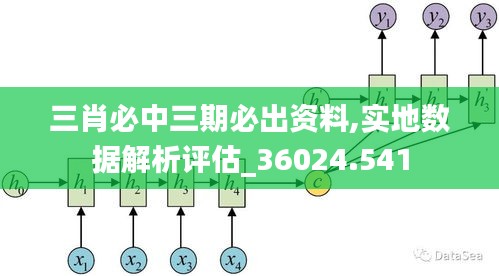 三肖必中三期必出资料,实地数据解析评估_36024.541