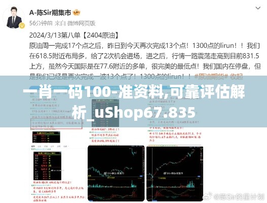 一肖一码100-准资料,可靠评估解析_uShop67.835