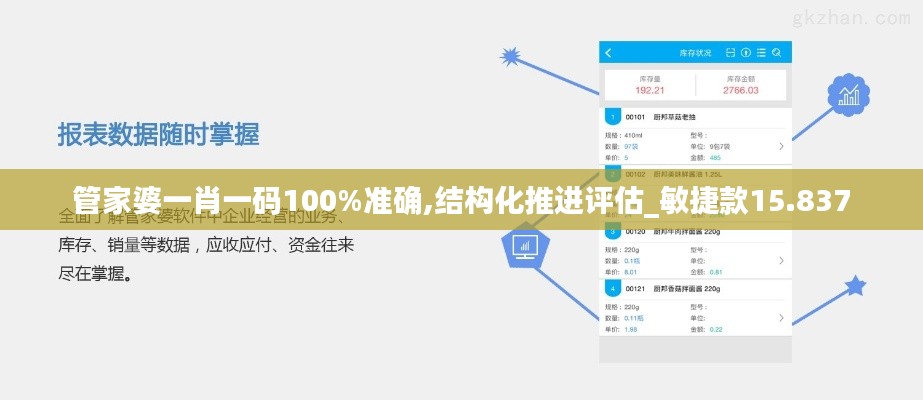 管家婆一肖一码100%准确,结构化推进评估_敏捷款15.837