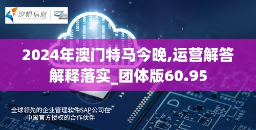 2024年澳门特马今晚,运营解答解释落实_团体版60.95