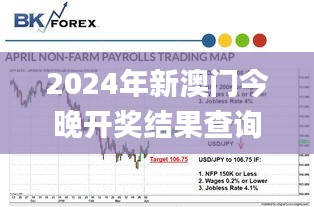 2024年新澳门今晚开奖结果查询,实地评估策略_X版29.506