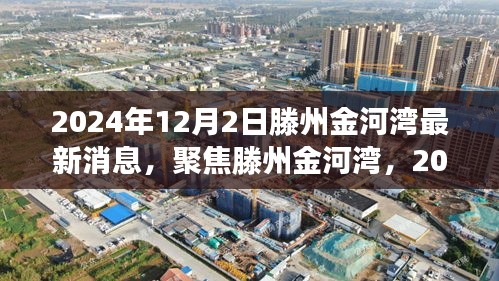 2024年12月2日滕州金河湾最新动态解读与聚焦