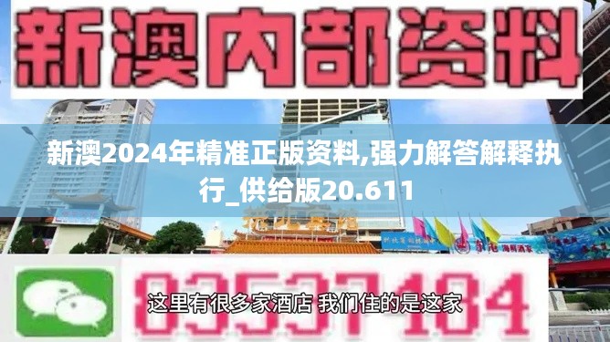 新澳2024年精准正版资料,强力解答解释执行_供给版20.611