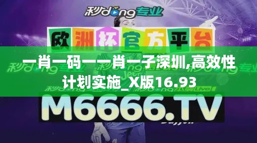 一肖一码一一肖一子深圳,高效性计划实施_X版16.93