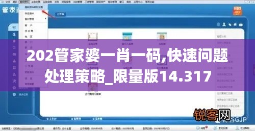 202管家婆一肖一码,快速问题处理策略_限量版14.317