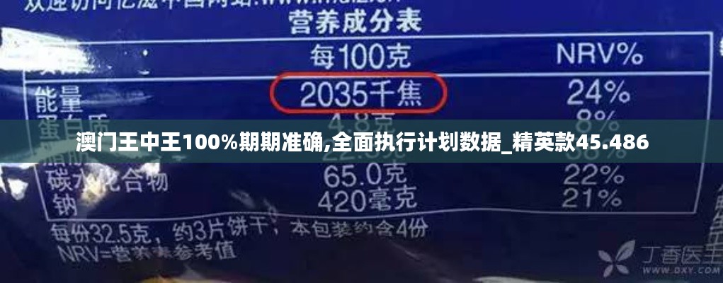 澳门王中王100%期期准确,全面执行计划数据_精英款45.486