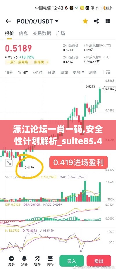 濠江论坛一肖一码,安全性计划解析_suite85.406