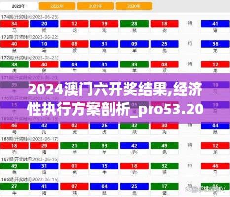 2024澳门六开奖结果,经济性执行方案剖析_pro53.202