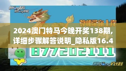 2024澳门特马今晚开奖138期,详细步骤解答说明_隐私版16.456