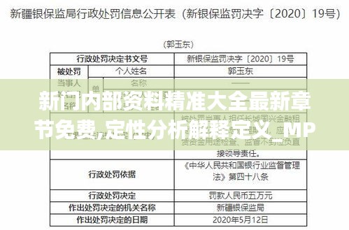 新门内部资料精准大全最新章节免费,定性分析解释定义_MP93.317