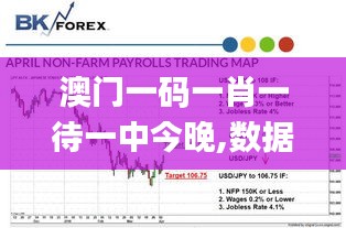 澳门一码一肖一待一中今晚,数据解析支持方案_RX版47.948