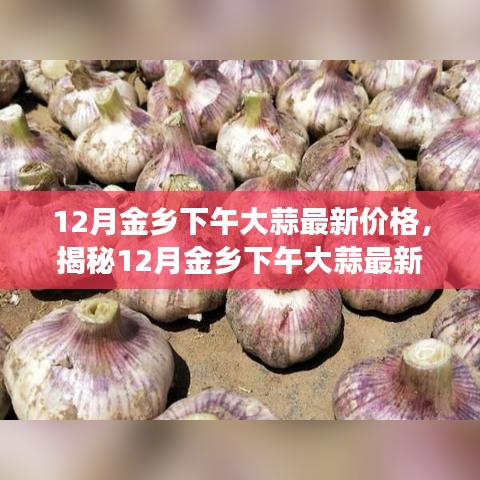 揭秘，12月金乡下午大蒜最新价格及市场走势与影响因素探究