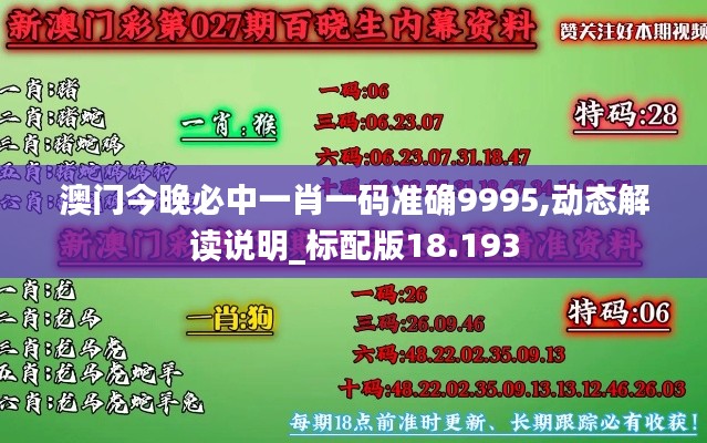 澳门今晚必中一肖一码准确9995,动态解读说明_标配版18.193