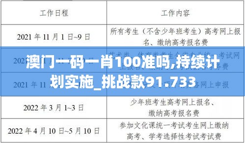 澳门一码一肖100准吗,持续计划实施_挑战款91.733