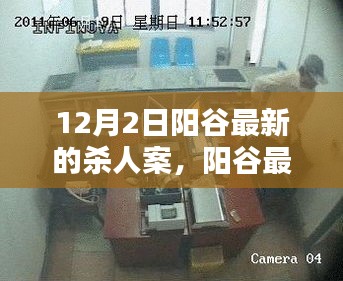 阳谷最新杀人案详解，应对与防范指南（初学者与进阶用户必备）