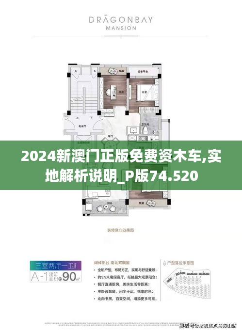 2024新澳门正版免费资木车,实地解析说明_P版74.520