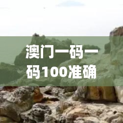 澳门一码一码100准确AO7版,经济性执行方案剖析_P版27.47