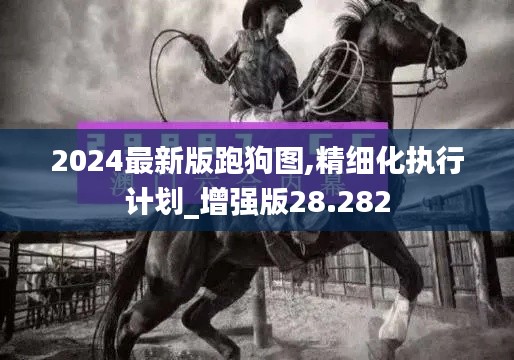 2024最新版跑狗图,精细化执行计划_增强版28.282