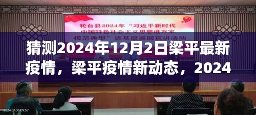 2024年12月2日梁平疫情最新动态与观察，影响及回顾