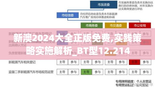 新澳2024大全正版免费,实践策略实施解析_BT型12.214