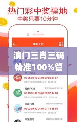 澳门三肖三码精准100%管家婆,数据导向策略实施_HarmonyOS19.376