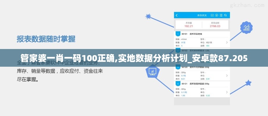 管家婆一肖一码100正确,实地数据分析计划_安卓款87.205