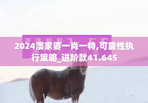 2024澳家婆一肖一特,可靠性执行策略_进阶款41.645