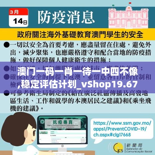 澳门一码一肖一待一中四不像,稳定评估计划_vShop19.677