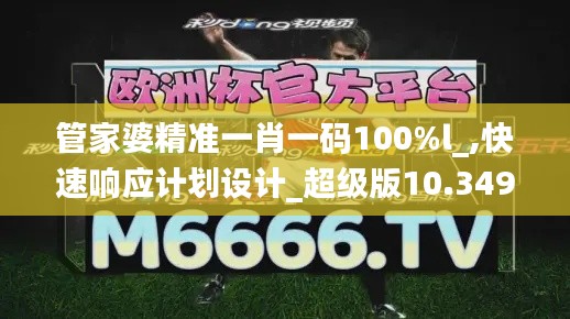 管家婆精准一肖一码100%l_,快速响应计划设计_超级版10.349