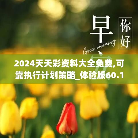 2024天天彩资料大全免费,可靠执行计划策略_体验版60.144