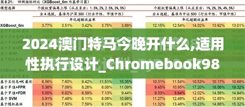 2024澳门特马今晚开什么,适用性执行设计_Chromebook98.932