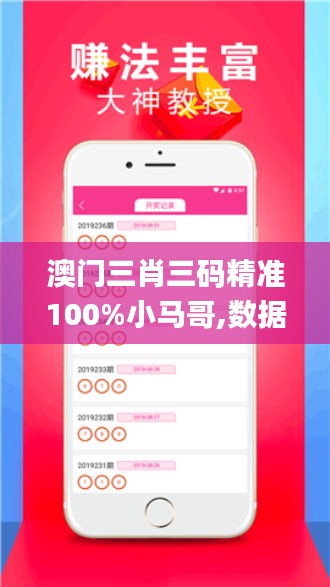 澳门三肖三码精准100%小马哥,数据分析驱动执行_专家版73.946