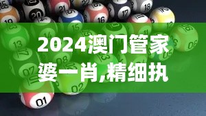 2024澳门管家婆一肖,精细执行计划_5DM89.720-7