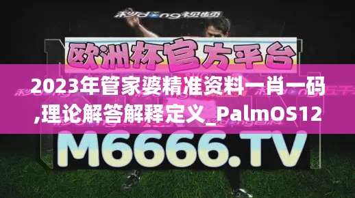 2023年管家婆精准资料一肖一码,理论解答解释定义_PalmOS123.646-4